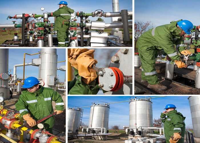 plantmaintenanceremovebg